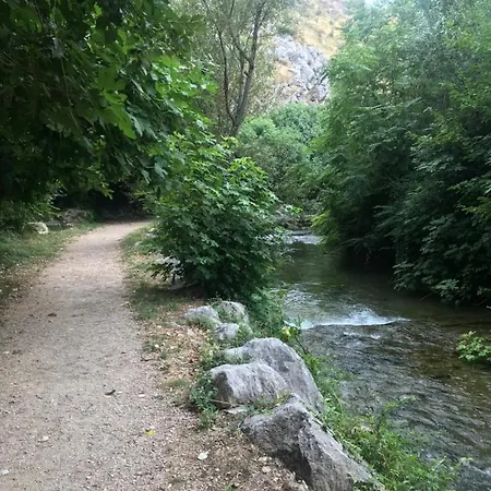 Antos Put Gaja,