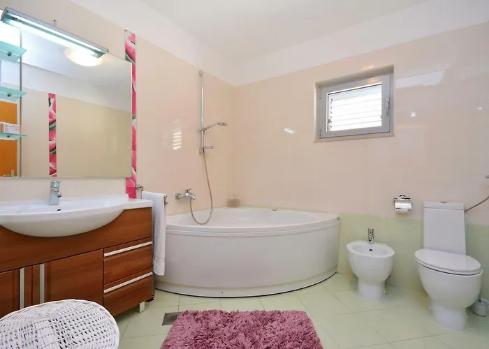 Antos Put Gaja, Διαμέρισμα